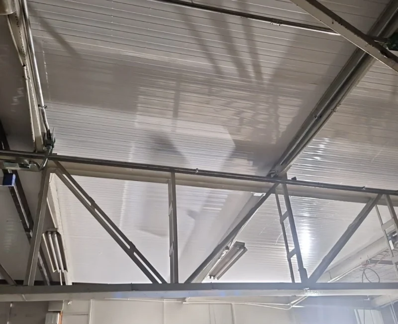 WhatsApp Image 2025-10-01 at 10.23.42 AM